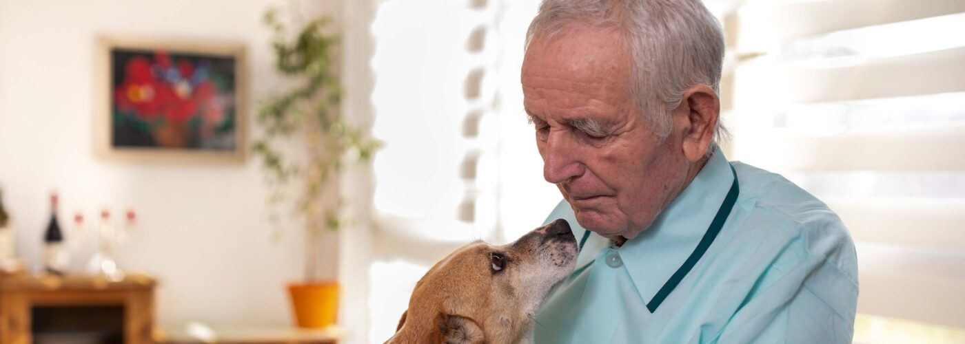 An elderly man in a wheelchair gently embraces a small brown and white dog that looks up at him. The bright, cozy room features a plant and artwork on the wall. This scene reflects the warmth fostered by Care Initiative, bringing joy to both humans and pets alike.